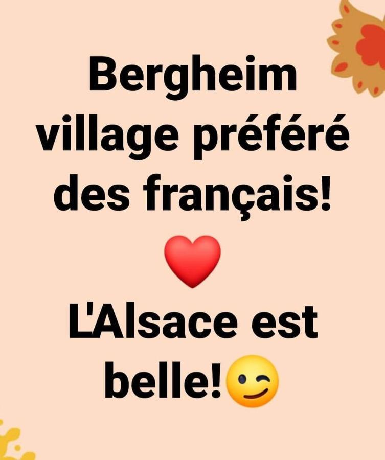 La Maison Des Tanneurs Ribeauvillé Eksteriør billede